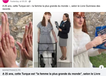 L’Egypte aux yeux des internautes