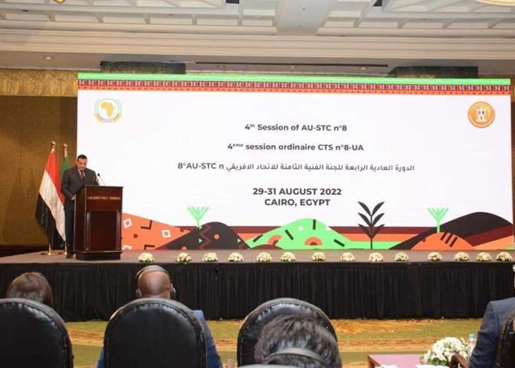 Madbouli : Vif intérêt de l’Egypte à la mise en œuvre des objectifs de l’Agenda Afrique 2063