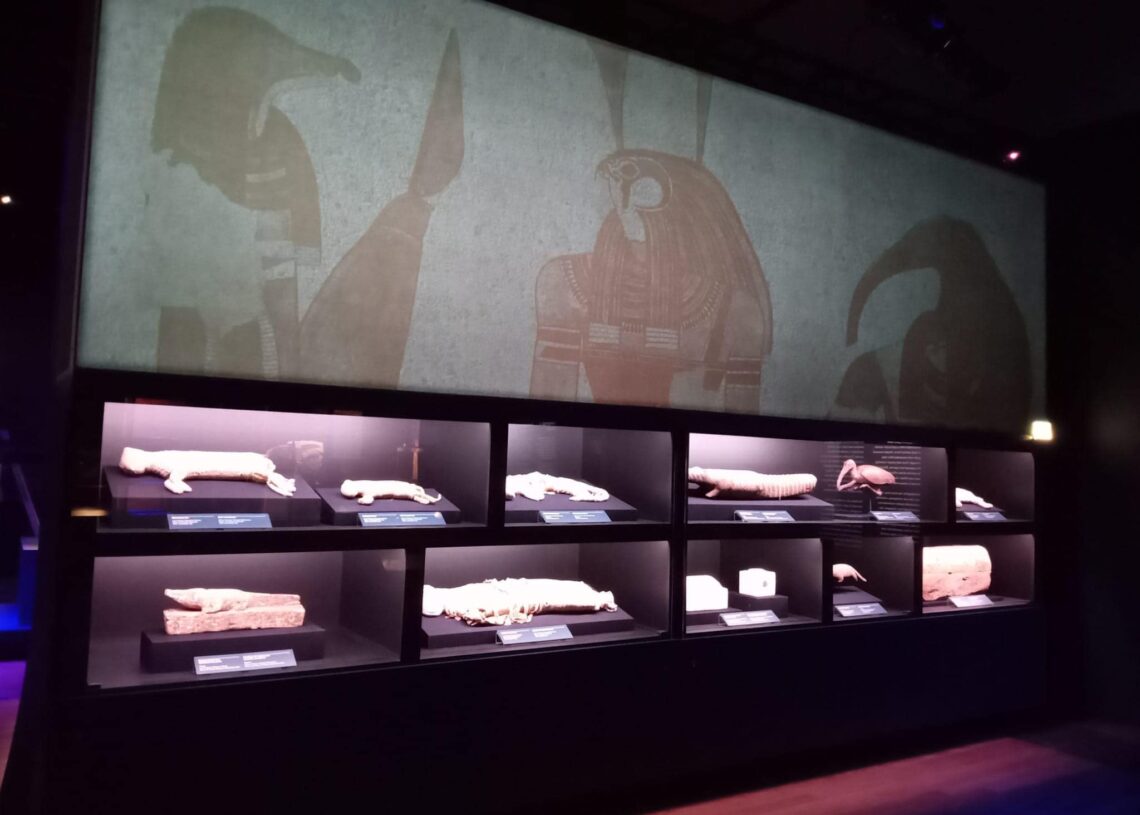 Le bélier à la forme de Lotus