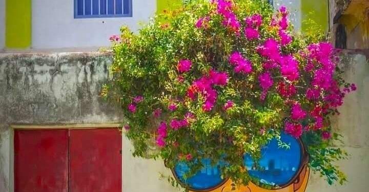 Quand le street art s’allie à la nature 1 - Le Progrès Egyptien