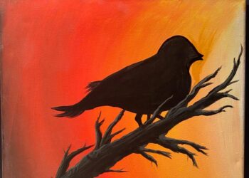 Maya donne à l’art des ailes de papillon