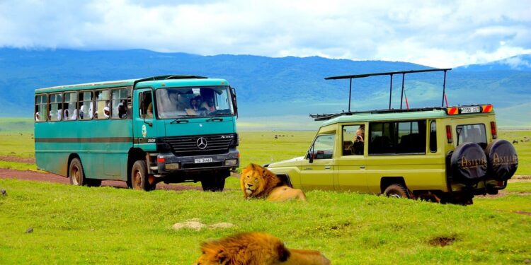 Safari à l’autre bout du monde 2 - Le Progrès Egyptien Safari à l’autre bout du monde 1 - Le Progrès Egyptien