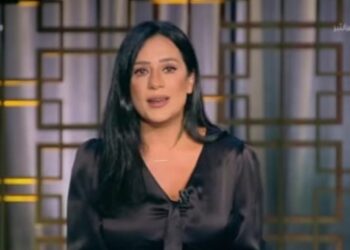 Puces électroniques : L’Egypte  cherche à en localiser l’industrie