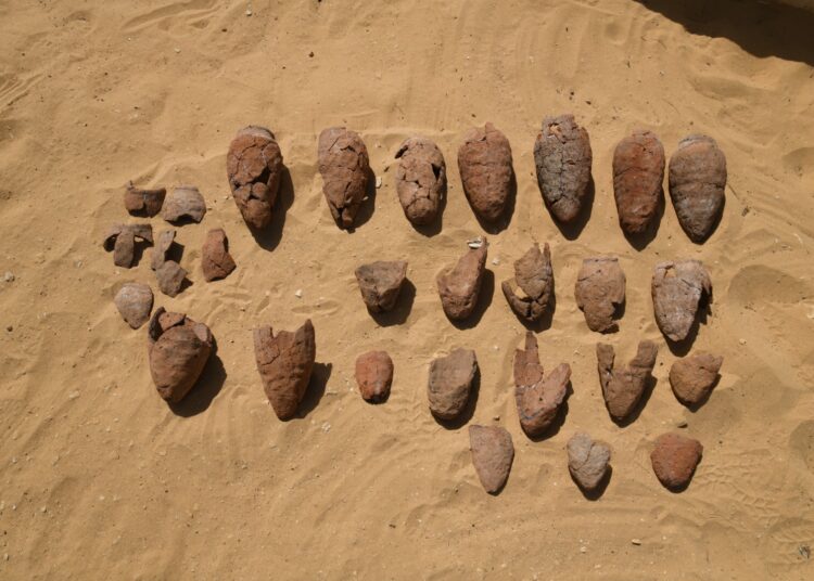 Découverte des vestiges d’un bâtiment de la 5ème dynastie