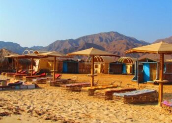 EcoEgypt : Voyageons  «vert» !