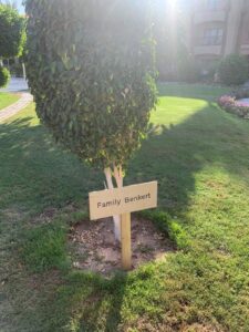 Hurghada : "L'arbre" accrocheur... le néo-marketing ! 3 - Le Progrès Egyptien