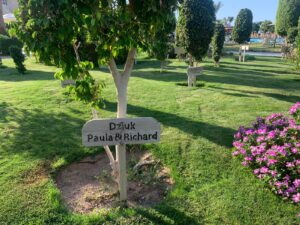 Hurghada : "L'arbre" accrocheur... le néo-marketing ! 6 - Le Progrès Egyptien Hurghada : "L'arbre" accrocheur... le néo-marketing ! 5 - Le Progrès Egyptien