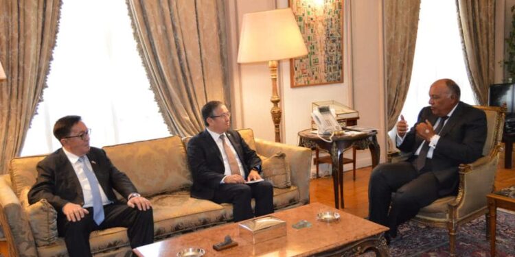 Choucri : L'Egypte est fière de ses relations d'amitié avec le Kazakhstan 1 - Le Progrès Egyptien