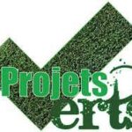 La transition verte se poursuit à pas de géant ! 6 - Le Progrès Egyptien La transition verte se poursuit à pas de géant ! 5 - Le Progrès Egyptien