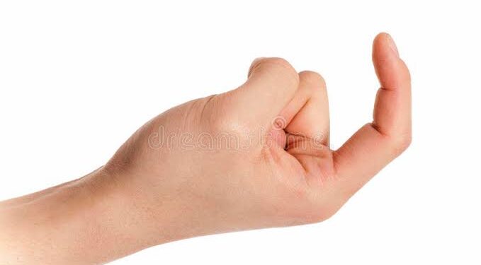 Vloggeur, un langage particulier !! 1 - Le Progrès Egyptien