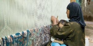 La protection sociale, une bouée de sauvetage au simple citoyen 8 - Le Progrès Egyptien La protection sociale, une bouée de sauvetage au simple citoyen 7 - Le Progrès Egyptien