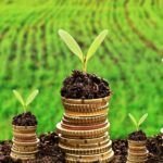 La transition verte se poursuit à pas de géant ! 4 - Le Progrès Egyptien La transition verte se poursuit à pas de géant ! 3 - Le Progrès Egyptien