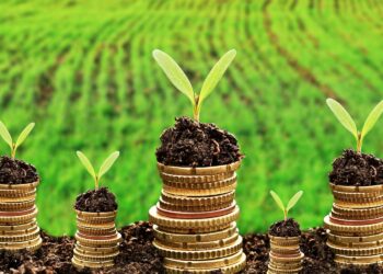 La transition verte se poursuit à pas de géant !