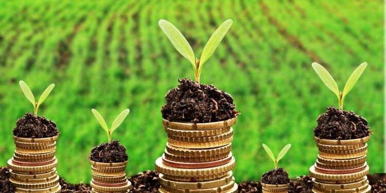 La transition verte se poursuit à pas de géant ! 2 - Le Progrès Egyptien La transition verte se poursuit à pas de géant ! 1 - Le Progrès Egyptien