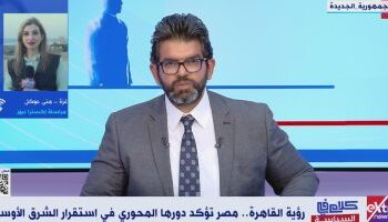 “Les ailes” de la diplomatie égyptienne et la clé du succès