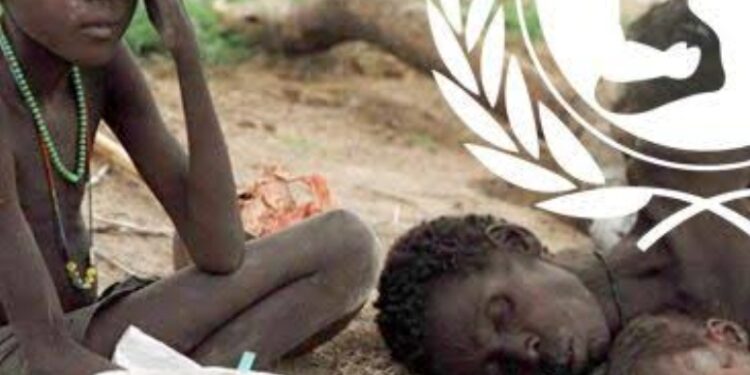 UNICEF : Les enfants africains menacés de la malnutrition et de la grave sécheresse 2 - Le Progrès Egyptien UNICEF : Les enfants africains menacés de la malnutrition et de la grave sécheresse 1 - Le Progrès Egyptien