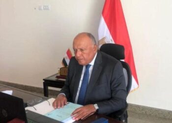 L’Egypte à la réunion ministérielle sur la coopération sino-africaine