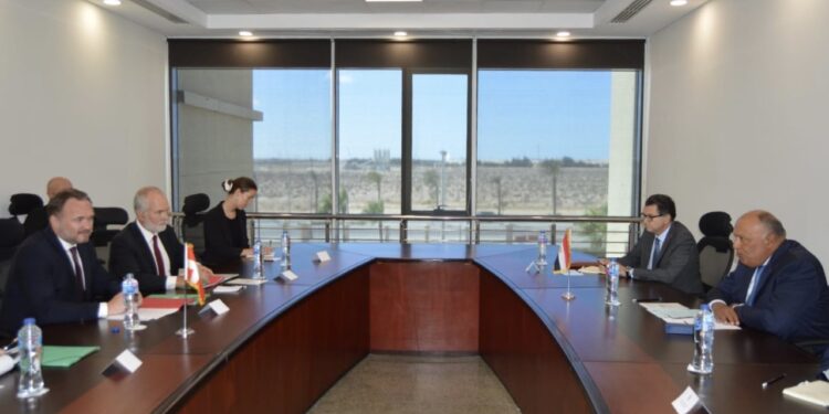 Le ministre des AE tient une séance d'entretiens avec le ministre danois du Climat 1 - Le Progrès Egyptien