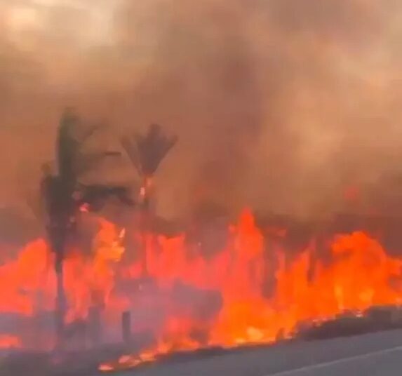 Les événements incontournables d’Août…  