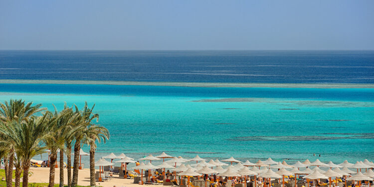 Marsa Alam, un véritable paradis tropical 1 - Le Progrès Egyptien