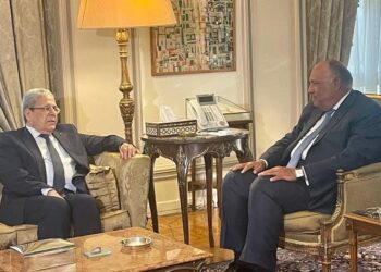 L’Egypte soutient la Tunisie dans les étapes entreprises vers la stabilité et le développement