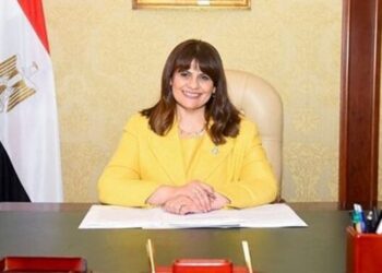 Les Égyptiens de l’étranger parmi les priorités de l’Egypte