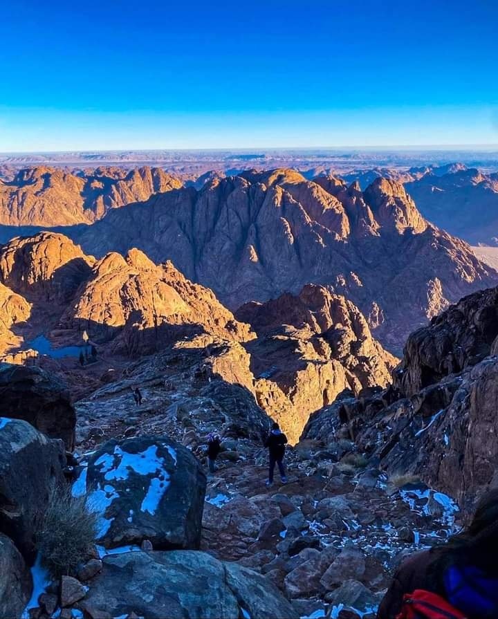 Sans-titre 2 - Le Progrès Egyptien Sans-titre 1 - Le Progrès Egyptien