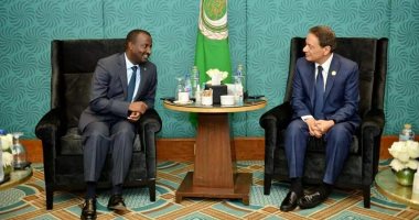 Les relations égypto-mauritaniennes sont profondes 1 - Le Progrès Egyptien