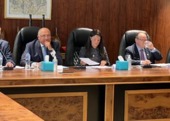 Choucri : Nécessité d’une coopération pour le succès de l’action climatique