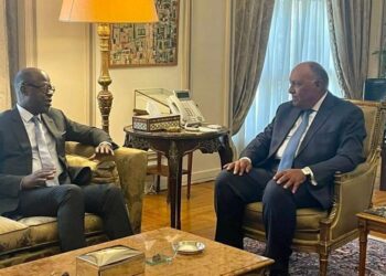 Choucri passe en revue la vision de la présidence égyptienne pour la COP-27