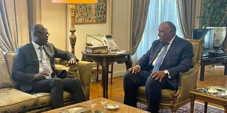 Choucri passe en revue la vision de la présidence égyptienne pour la COP-27 1 - Le Progrès Egyptien