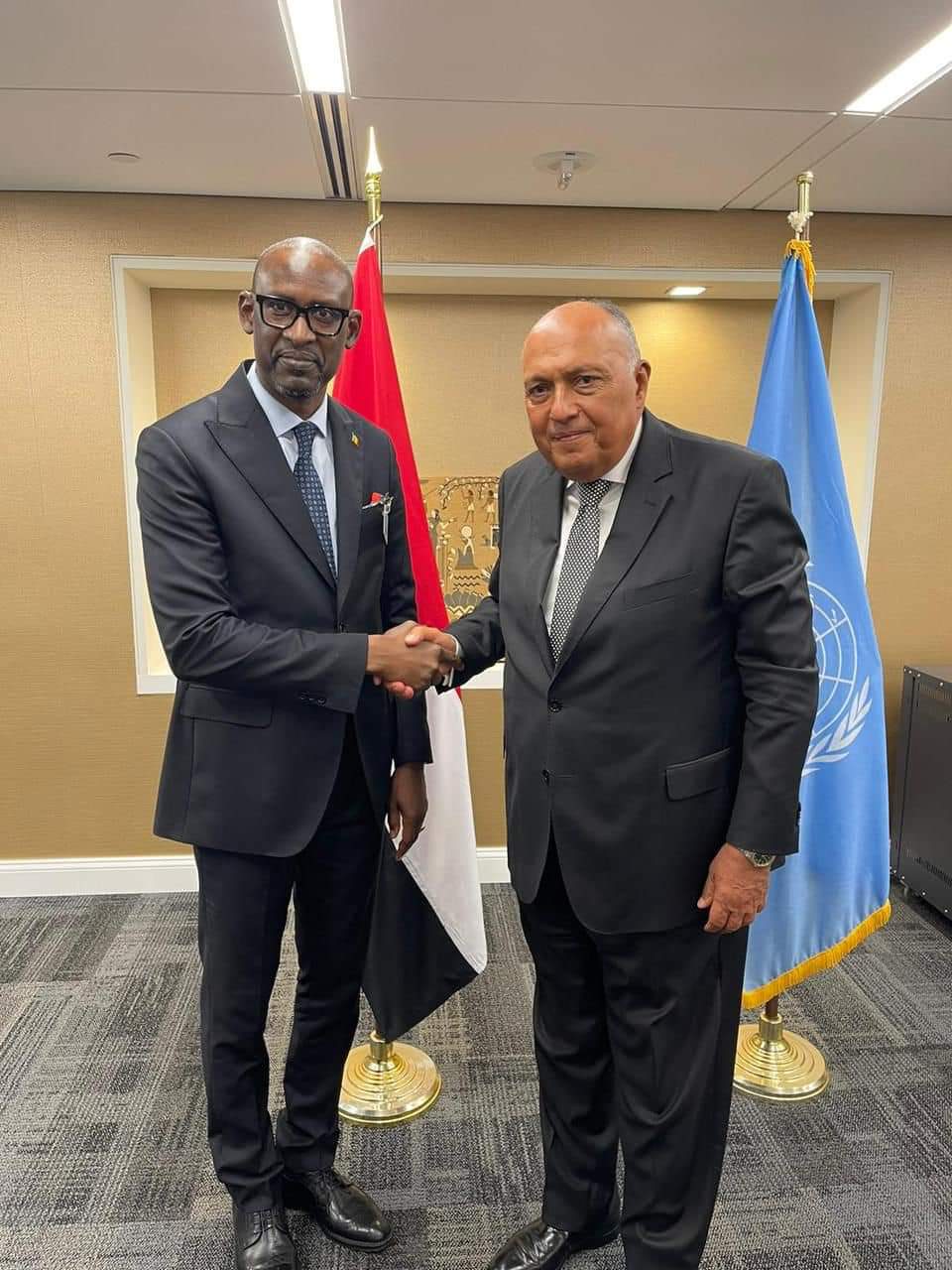 Choucri souligne le soutien de l’Égypte aux efforts de paix au Mali 2 - Le Progrès Egyptien Choucri souligne le soutien de l’Égypte aux efforts de paix au Mali 1 - Le Progrès Egyptien