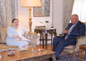 Choucri examine avec le PNUD les divers domaines de coopération commune