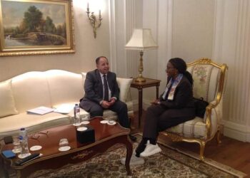 Egypte-ONU:  Mécanisme d’échange de produits entre les pays africains