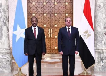 Le Président Al-Sissi reçoit un appel téléphonique de son homologue somalien