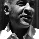 Mamdouh Ammar renaît de ses cendres 3 - Le Progrès Egyptien