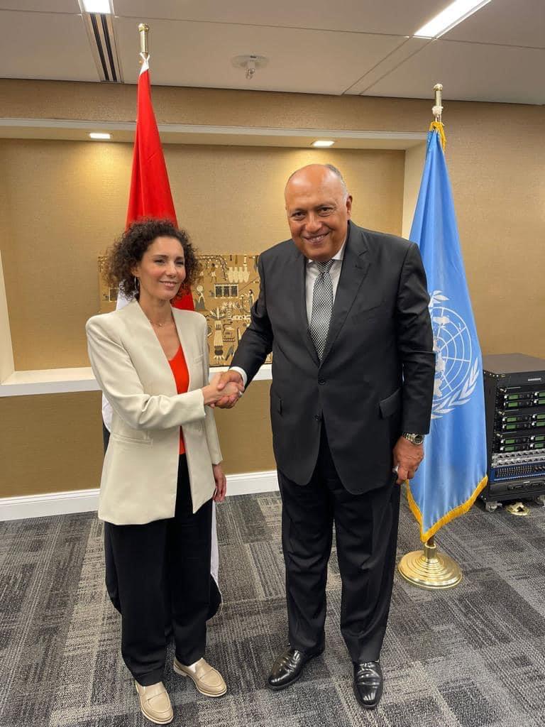 Choucri: Soutenir les économies des pays en voie de développement 1 - Le Progrès Egyptien