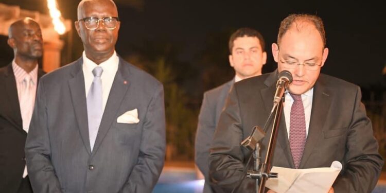 Renforcer la coopération économique avec les pays africains, en tête des priorités 2 - Le Progrès Egyptien Renforcer la coopération économique avec les pays africains, en tête des priorités 1 - Le Progrès Egyptien