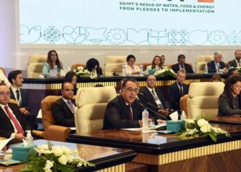 Climat : L’Egypte s’appuie sur des partenariats privé et international