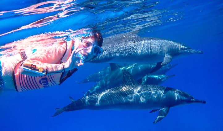 Marsa Allam, voyage au paradis 1 - Le Progrès Egyptien