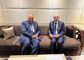 Choucri s’entretient avec son homologue jordanien