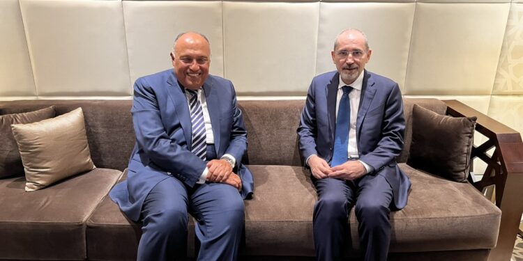 Choucri s'entretient avec son homologue jordanien 1 - Le Progrès Egyptien