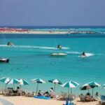 De la terrasse à la classe, adieu à la paresse ! 10 - Le Progrès Egyptien De la terrasse à la classe, adieu à la paresse ! 9 - Le Progrès Egyptien