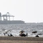 De la terrasse à la classe, adieu à la paresse ! 6 - Le Progrès Egyptien De la terrasse à la classe, adieu à la paresse ! 5 - Le Progrès Egyptien