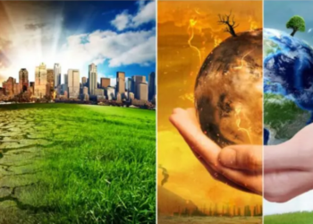 Des transports verts