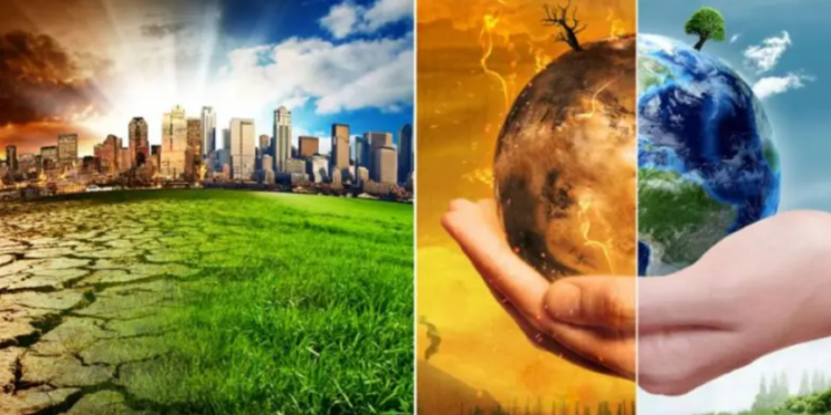 Des transports verts 1 - Le Progrès Egyptien