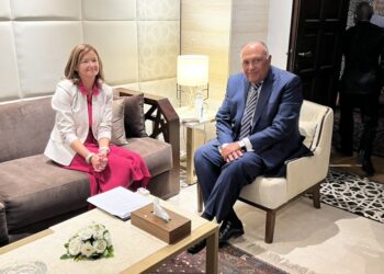 Choucri s’entretient avec son homologue slovène