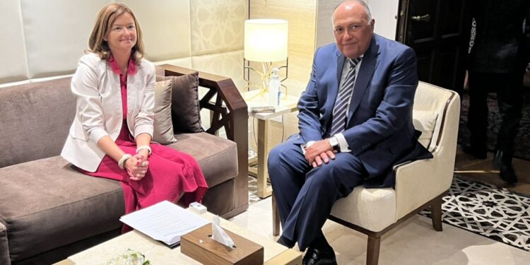 Choucri s'entretient avec son homologue slovène 1 - Le Progrès Egyptien