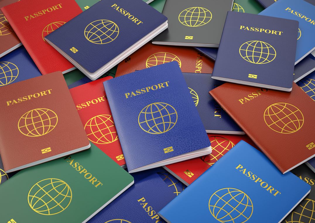 La couleur de votre passeport, quelle signification ? 2 - Le Progrès Egyptien La couleur de votre passeport, quelle signification ? 1 - Le Progrès Egyptien
