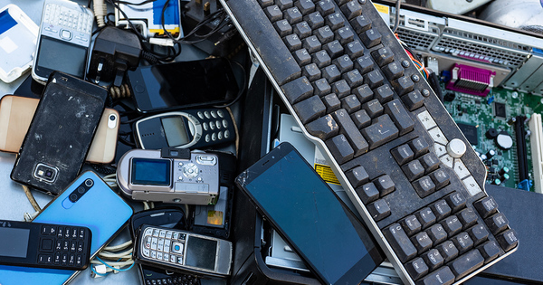 Des végétaux pour recycler les déchets électroniques 3 - Le Progrès Egyptien